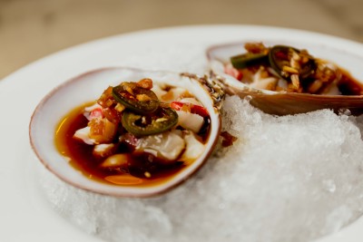 almeja cruda